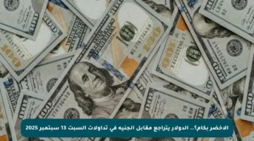 الأخضر بكام؟.. الدولار يتراجع مقابل الجنيه في تداولات السبت 13 سبتمبر 2025